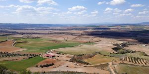 קרקעות למכירה